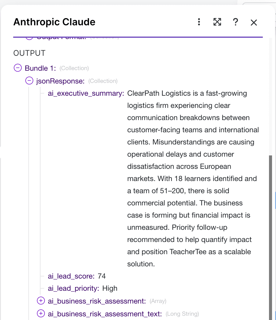 Claude AI lead qualification output